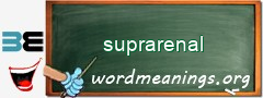 WordMeaning blackboard for suprarenal